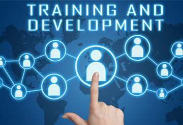 Training & Development